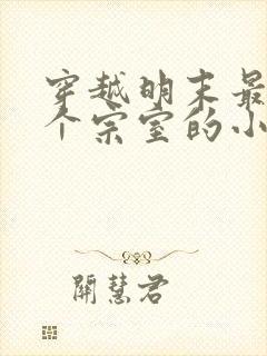 穿越明末最后一个宗室的小说