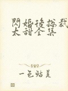 闪婚后总裁娇妻太甜全集