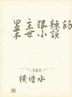 男主狠辣的重生末世小说