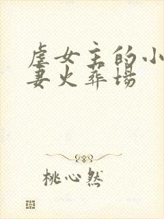 虐女主的小说追妻火葬场