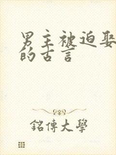 男主被迫娶女主的古言