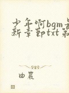 少年啊bgm最新章节txt第二部