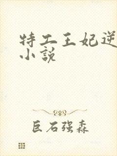 特工王妃逆袭记小说