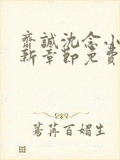 齐诚沈念小说最新章节免费阅读下载