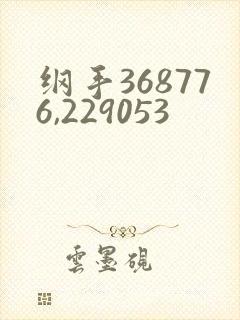 纲手368776,229053