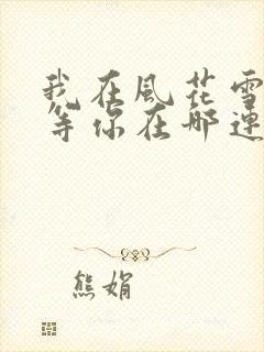 我在风花雪月里等你在哪连载