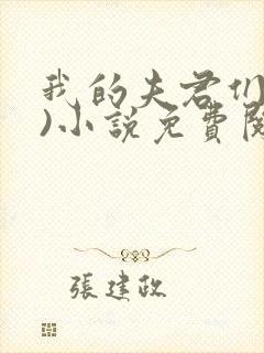 我的夫君们(双)小说免费阅读