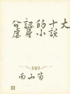 公认的十大虐心虐身小说