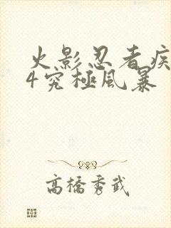 火影忍者疾风传4究极风暴