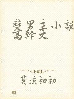 双男主小说推荐高干文