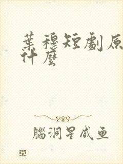 叶穆短剧原著叫什么