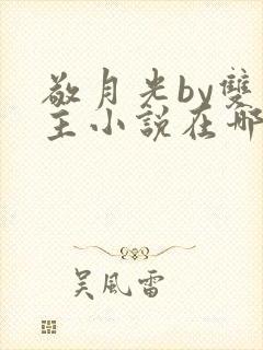 敬月光by双男主小说在哪里看