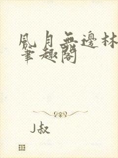 风月无边林家成笔趣阁