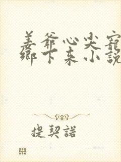 姜爷心尖宠她从乡下来小说版