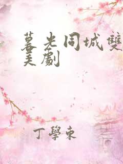 暮光同城双男主美剧