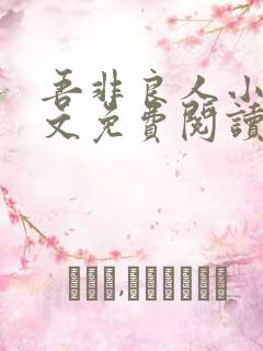 吾非良人小说全文免费阅读