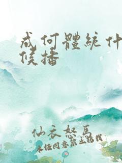 成何体统什么时候播