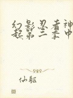 幻影忍者神龙崛起第二季中文