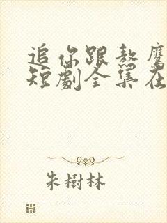 追你跟熬鹰似的短剧全集在线观看