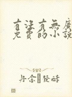 有没有无广告又免费的小说软件?