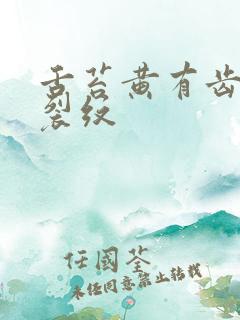 舌苔黄有齿痕有裂纹