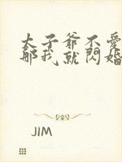 太子爷不爱我?那我就闪婚了