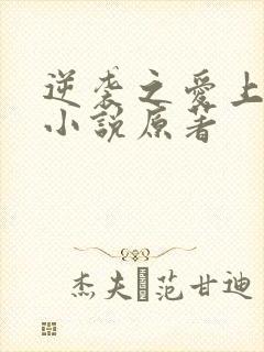 逆袭之爱上情敌小说原著