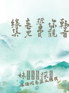 缘来誓你韩剧全集免费观看完整版