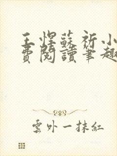 王悍苏祈小说免费阅读笔趣阁最新