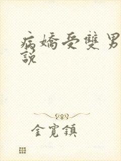 病娇受双男主小说