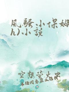 风骚小保姆(高h)小说