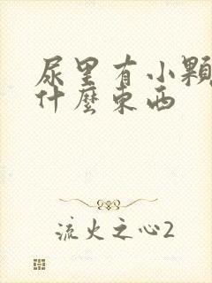 尿里有小颗粒是什么东西