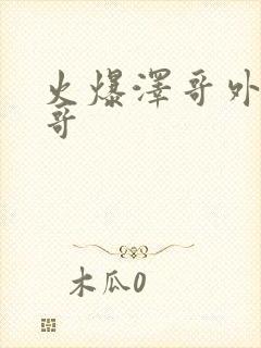 火爆泽哥外卖小哥