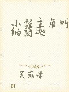 小说主角叫叶观纳兰迦