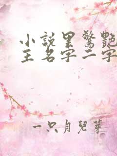 小说里惊艳的女主名字二字