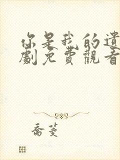 你是我的遗憾短剧免费观看