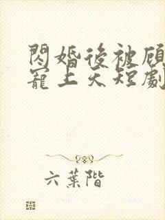 闪婚后被顾先生宠上天短剧