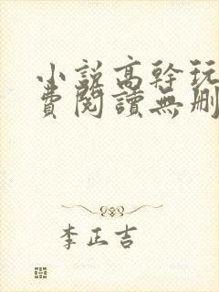 小说高干玩物免费阅读无删减版