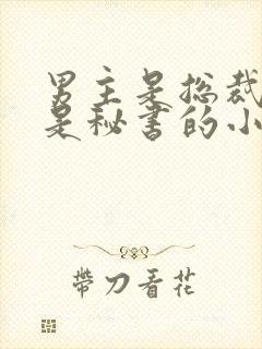 男主是总裁女主是秘书的小说