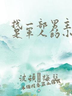 找一部男主姓叶是军人的小说