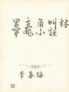 男主角叫林辰的穿越小说