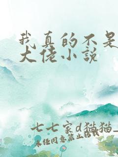 我真的不是女装大佬小说