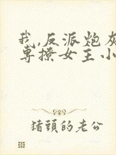 我,反派炮灰,专撩女主小说无广告