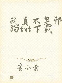 我真不是邪神走狗txt下载