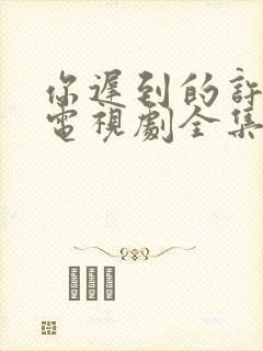 你迟到的许多年电视剧全集免费观看