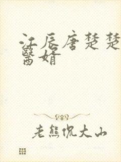 江辰唐楚楚龙王医婿