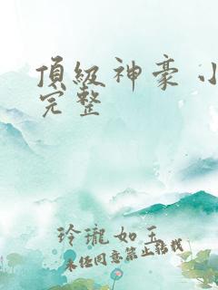 顶级神豪 小说完整