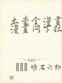 土豪金漫画免费漫画网下拉式