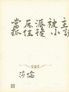 当反派被主角们抓住后 小说