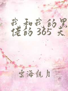 我和我的黑帮大佬的 365 天